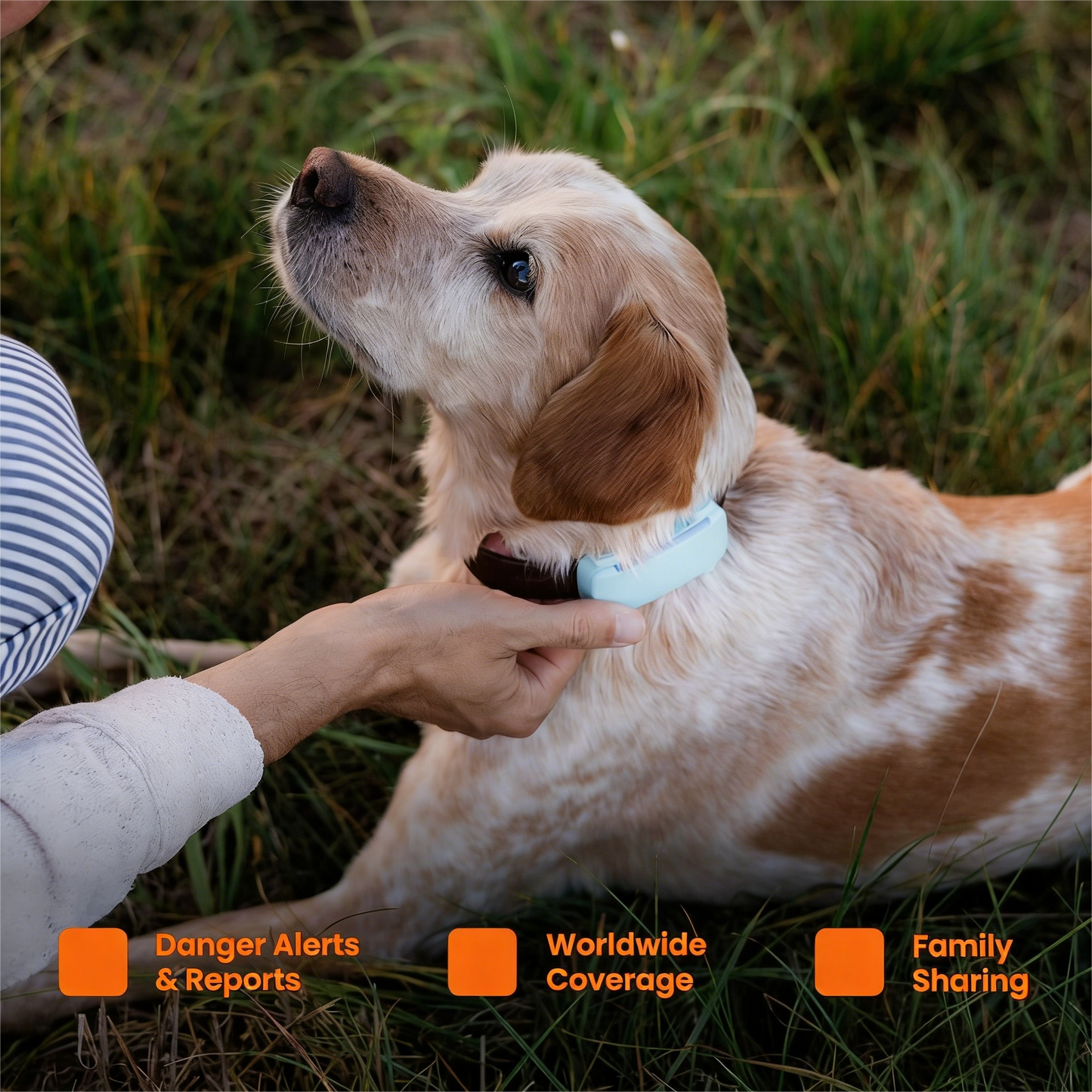 Smart Dog Collar Tracker with Health Monitoring
