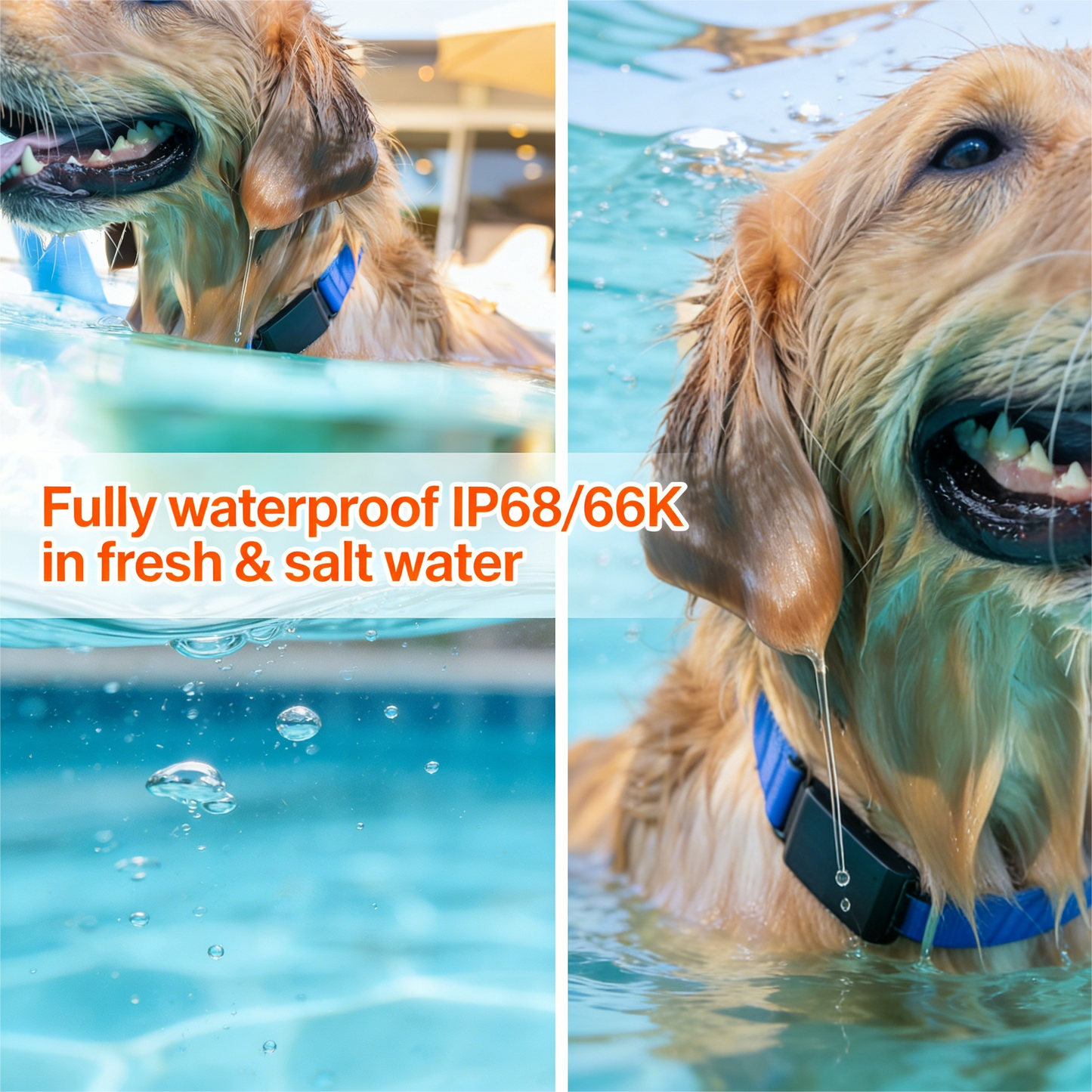 Smart Dog Collar with GPS Tracking & Activity Monitor