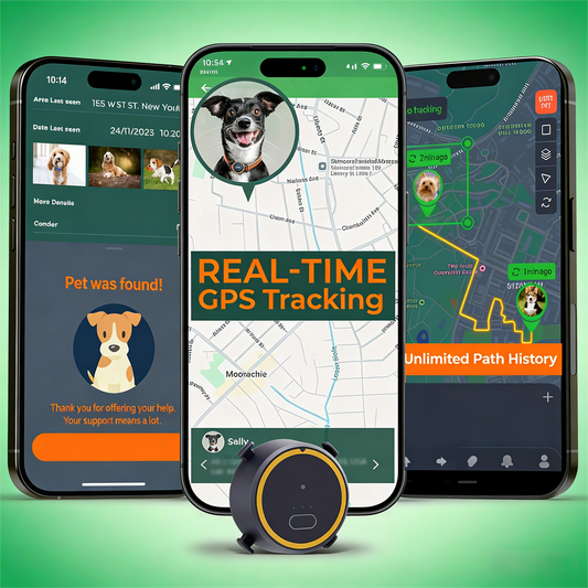 Compact Real-Time GPS Pet Tracker for Dogs