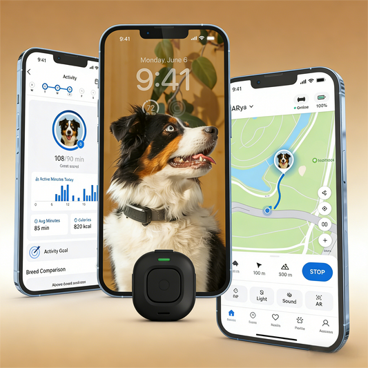 Smart Dog Collar Tracker with Health Monitoring