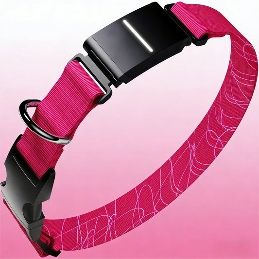 Smart Dog Collar with GPS Tracking & Activity Monitor